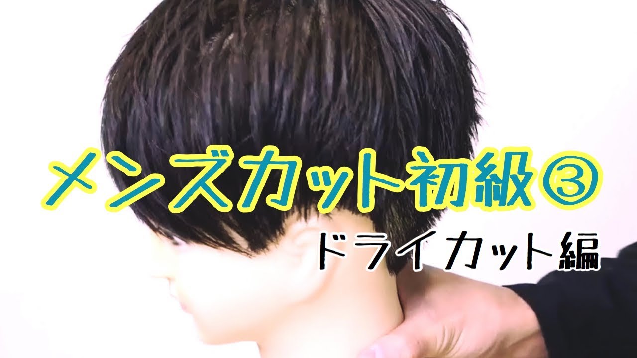 メンズカット初級 ドライカット編 Youtube