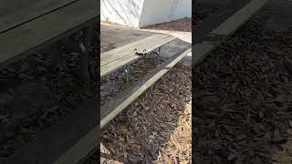 RC Car Darkslide!
RC Car Darkslide! RC Car Darkslide!