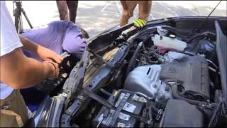 170810252 Woman Finds Kitten Trapped Inside Grill Of Car
