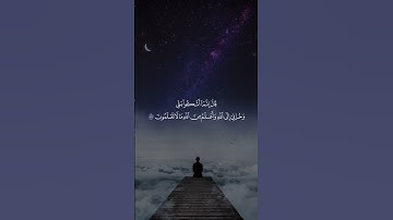 تلاوة من سورة يوسف للقارئ محسن الدوسري