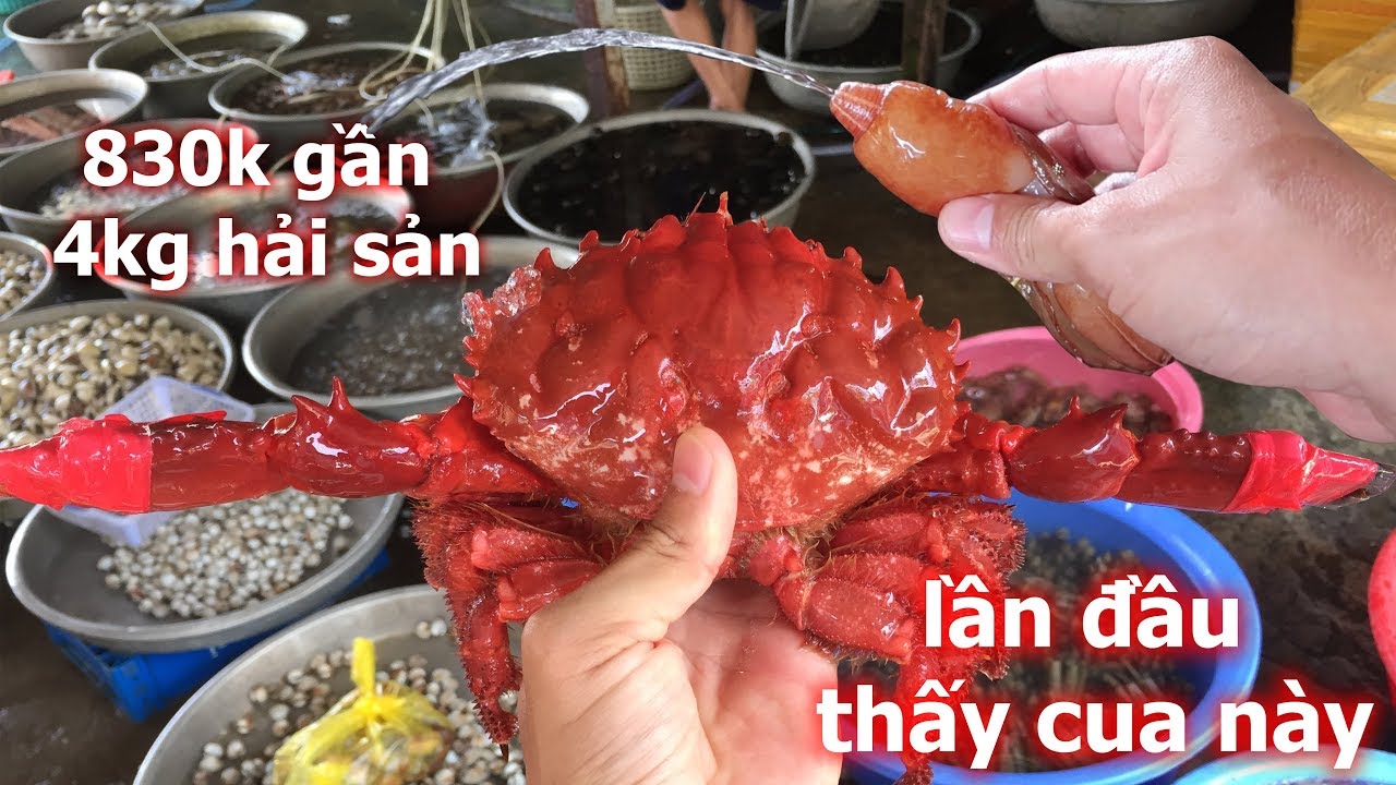 chợ dương đông 2022 Đi chợ Dương Đông (Phú Quốc) mua hải sản || Lần đầu thấy Con cua này, mua ngay lập tức
