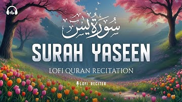 Surah Yaseen سورة يس | Majestic Lofi Quran for Peaceful Nights & Stress Relief #quranforsleep