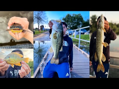 CRYSTAL CLEAR LAKE! Multi-species fishing (Big Bass Caught)