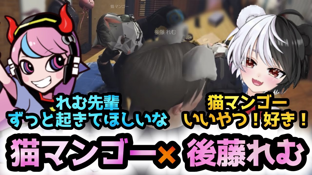 【ストグラ】猫マンゴーに懐かれる後藤れむ【Selly/ごっちゃん@マイキー/絡みまとめ/餡ブレラ/切り抜き】