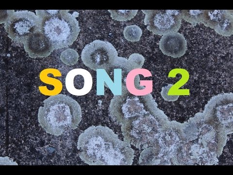 Kulatý obdelníky - SONG 2