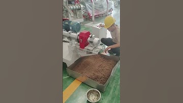 Fish feed extruder machine testing 300-400KG/H #fishfeedmachine #fishfarming #extruder