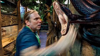 DODGING A SNAKE ATTACK!! LOTS OF SNAKE BITES!! | BRIAN BARCZYK