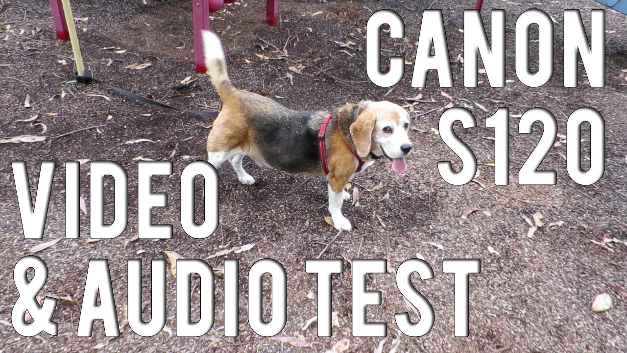 Canon S120 Video and Audio Test | VEDA 1