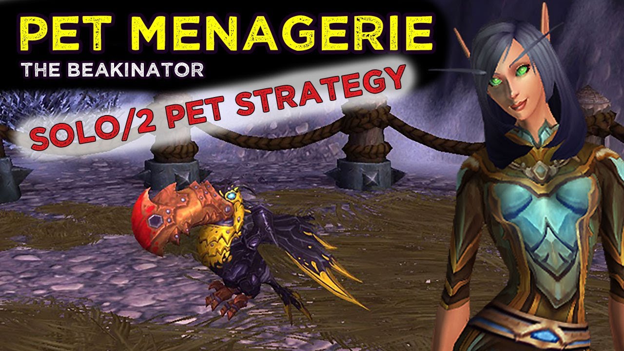 The Beakinator - Solo / 2 Pet Levelling Team (Pet Menagerie) - YouTube