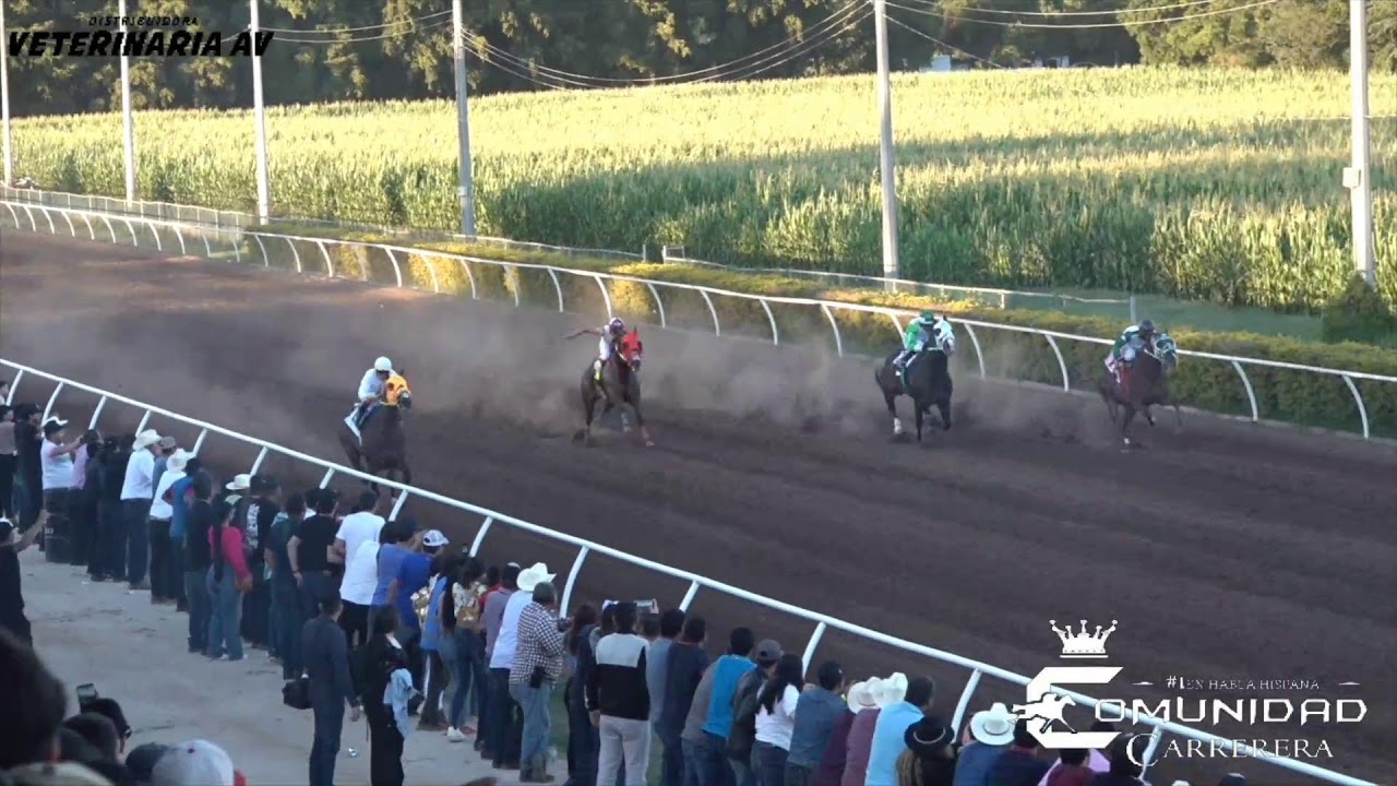 Tapado C. Estrella✡️/Sta Cecilia
🆚
Tapado C. 3 Cruces 
🆚
Tapado C. Fresno 
🆚