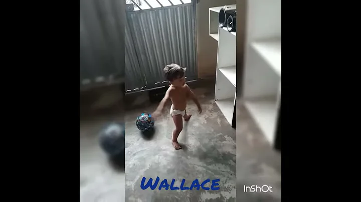 Wallace gabriel