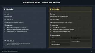 Lean Six Sigma Black Belt Lssbb Training Introductory Session Overview
