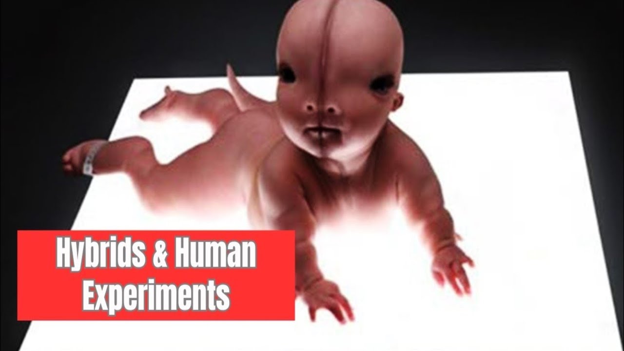 The Horrors of Plum Island Hybrids & Human Experiments Theory Orb