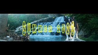 Summer 2023 by Neotuxedo LEE 137 views 8 months ago 47 seconds
