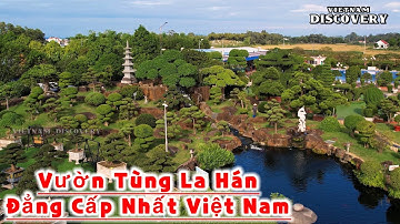 KHÁM PHÁ VƯỜN TÙNG LÀ HÁN KHỦNG NHẤT VIỆT NAM CỦA ĐẠI GIA THÁI NGUYÊN