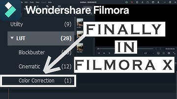 NEW UPDATE ON COLOR CORRECTION | WONDERSHARE FILMORA X | SKF!