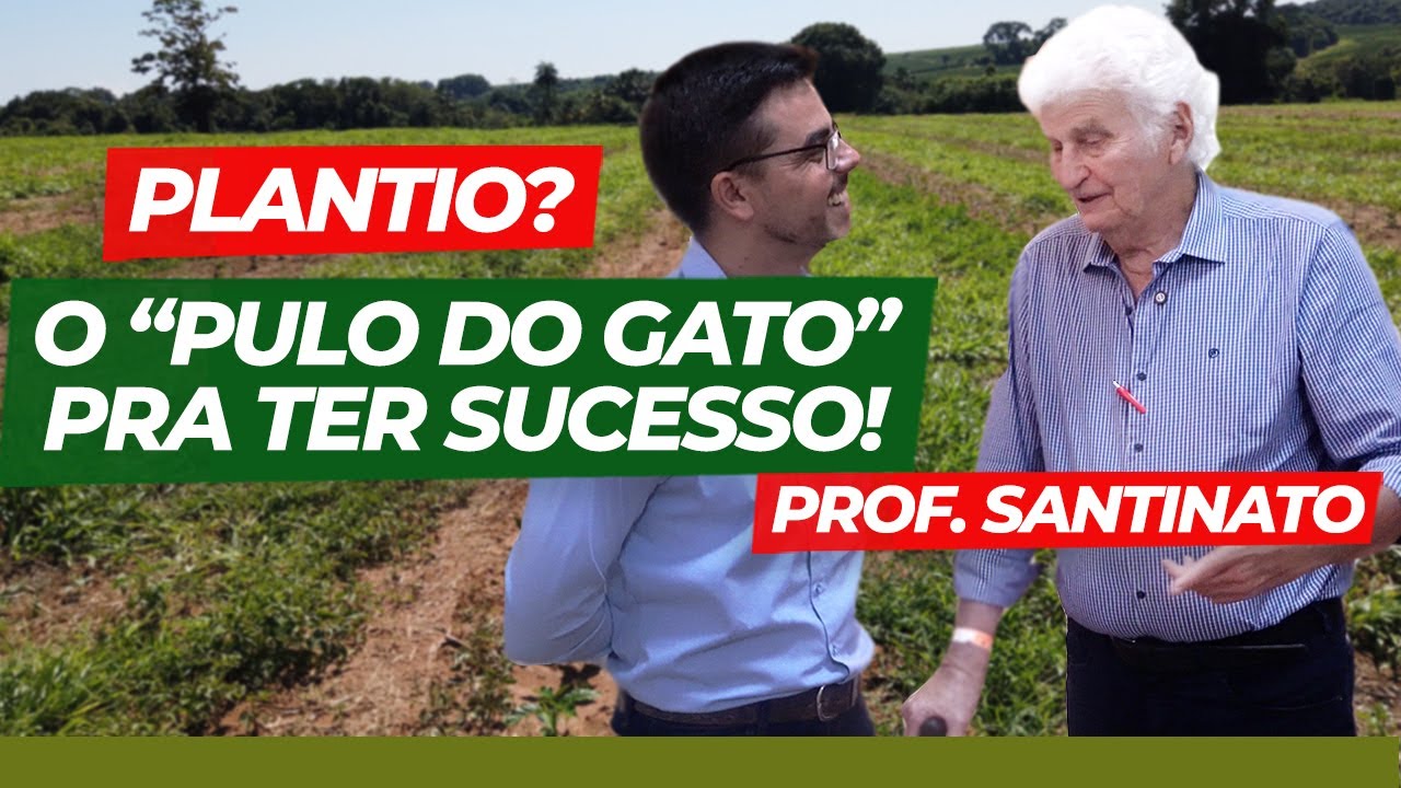As DICAS para PREPARO DO SOLO para PLANTAR CAFÉ, com o PROF. SANTINATO, que é a MAIOR REFERÊNCIA...