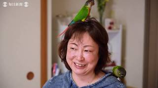 鳥飼さん（６） 同種でも性格は「三羽三様」