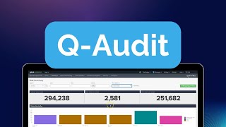 Q-Audit 2024