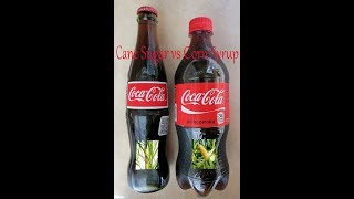 Coca-Cola Showdown! Cane sugar vs high fructose corn syrup