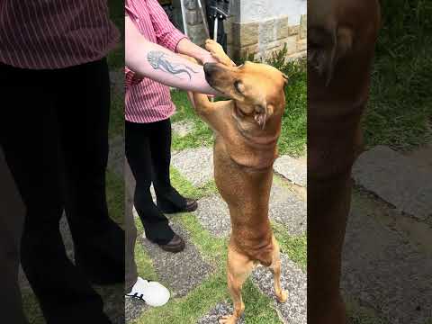 Oq eu deveria fazer?