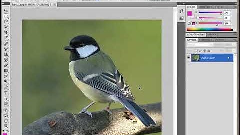 18 LAYER VIA COPY AND LAYER VIA CUT