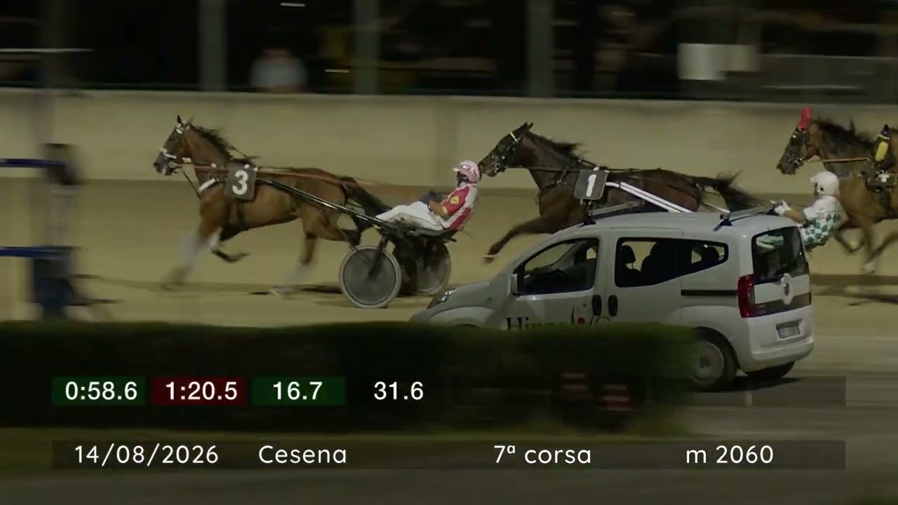 2026 08 14 | Corsa 7 | Metri 2060 | Premio Firenze