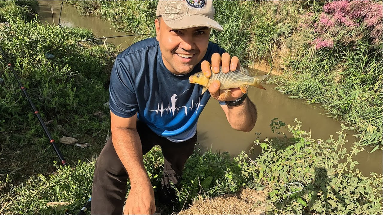 Как поймать сазана в Ташкенте