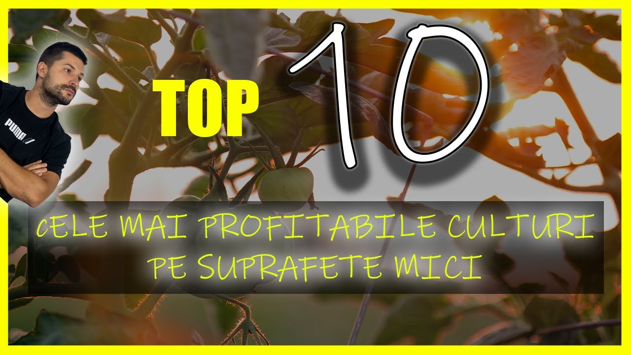 Cele mai Profitabile 10 Culturi pe Suprafete Mici