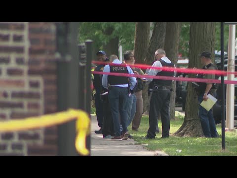 Chicago police shoot,