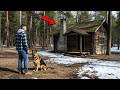 A Veteran Bought A Haunted Cabin For 100 His German Shepherd Found A Secret No One Opened mp3
