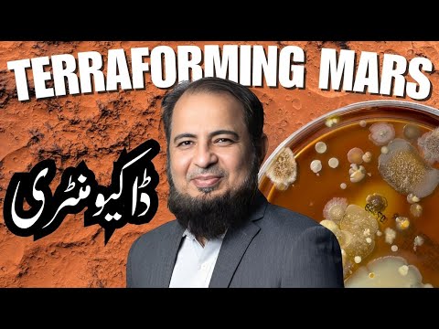      اردو   