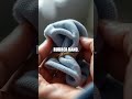 The 5-Second Window Clean Hack That Changes Your Morning Routine
