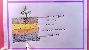 How To Draw Layers Of Soil/Soil Profile Diagram Drawing