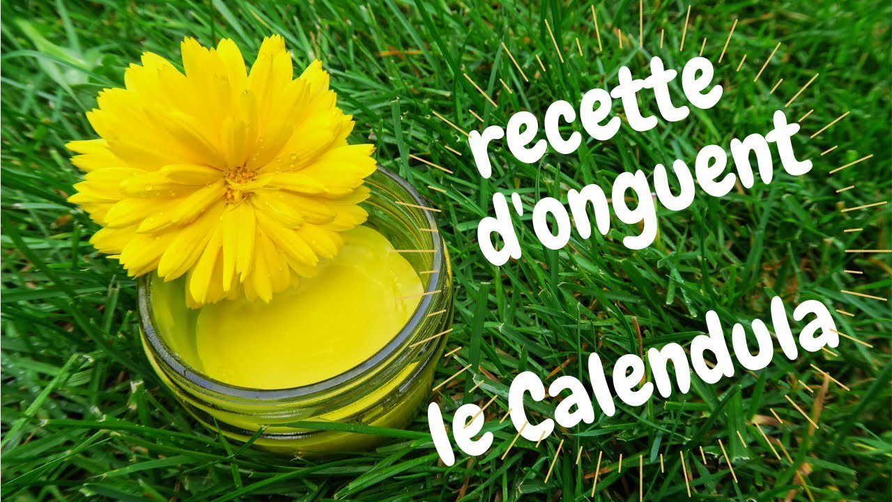 Comment faire un onguent de Calendula