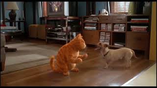 Garfield La Película Garfield & Odie Bailan Juntos