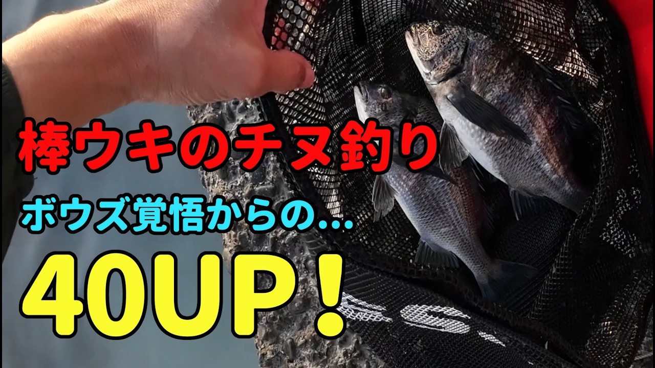 ポイント崩壊で大ピンチ！寒波が続いた後の寒チヌを棒ウキで狙って40UP！（フカセ釣り）