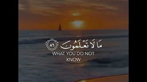 القارئ مشاري فالح