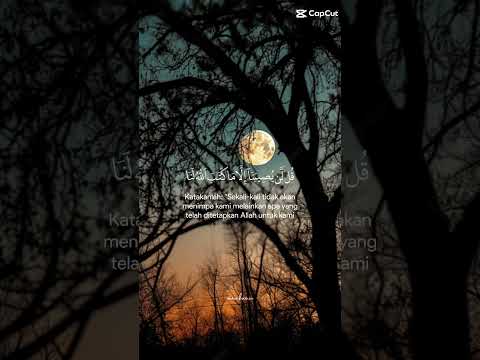 سورة التوبة اية 51 من قراءة الشيخ اسلام صبحي