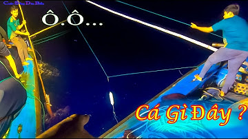 CÂU CÁ NGỪ ĐẠI DƯƠNG BIỂN HOÀNG SA 23║Quyết Câu Cá Ngừ Đại Dương Lại Gặp Cá Thu Hủ.