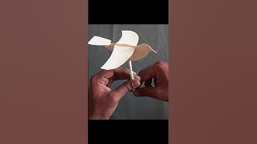 Flying Bird Automaton #diy #craft