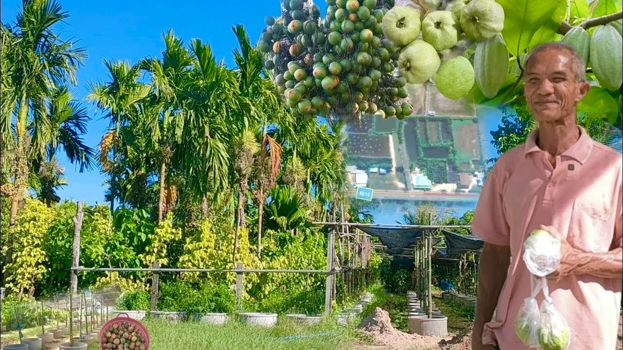 ตัดคำว่าขี้เกียจออก สำเร็จทุกอย่าง ทำเกษตรผสมผสาน เลี้ยงได้ยันลูกหลาน ยั่งยืน มีรายได้ทุกวัน