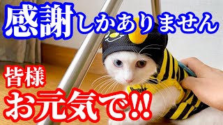 お世話になりました!ありがとうございました!では、皆さんお元気で!