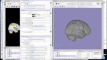 how to make a 3D cropped screenshot in FSLeyes