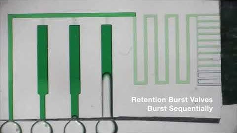 Autonomous capillaric circuit for pre-programmed delivery of four liquids