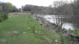 madman's disc golf course ! rock pickin' part 2