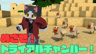 【Minecraft】トライアルチャンバー探して三千里【Vtuber】