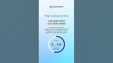 CVE-2025-55177 - Sep 3, 2025