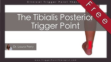 The Tibialis Posterior Trigger Point (Free Full Video)