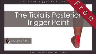 The Tibialis Posterior Trigger Point (Free Full Video)